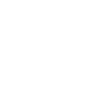 GitHub white
